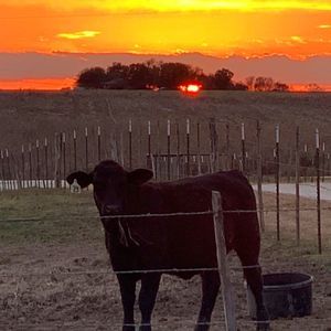 Meet your Posher, Christa